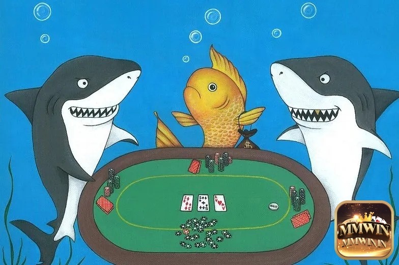 Fish trong poker - 5 điểm nhận biết người chơi kém Poker