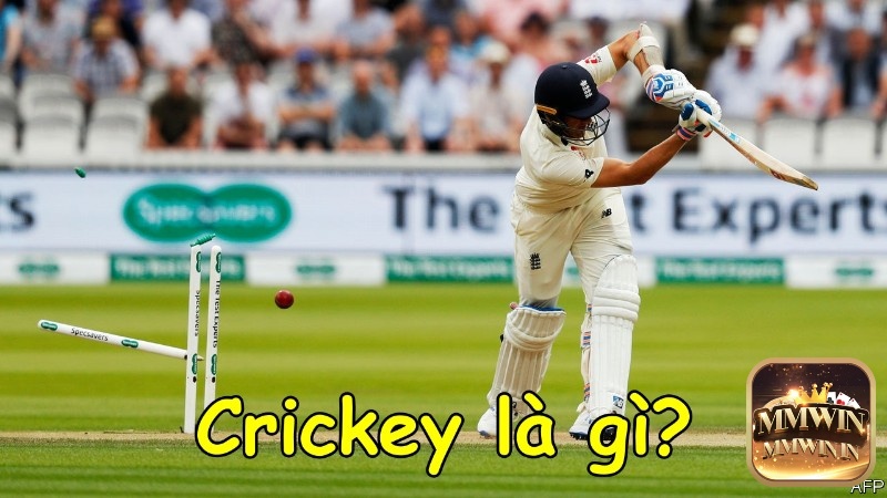 Cricket là gì? Cricket còn được gọi với cái tên bóng gậy