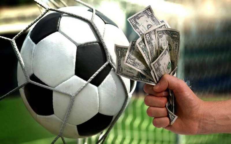 Trang cá cược bóng đá: Top 5 sân chơi uy tín đáng trải nghiệm
